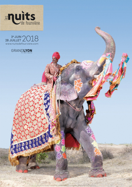 Photo Charles Fréger, Parade, les éléphants peints de Jaipur / Nuit de Fourvière